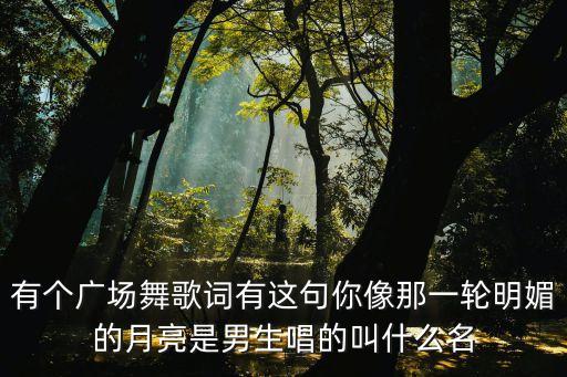 有个广场舞歌词有这句你像那一轮明媚的月亮是男生唱的叫什么名