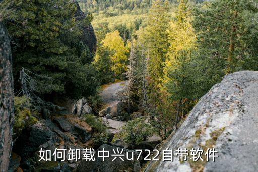 如何卸载中兴u722自带软件