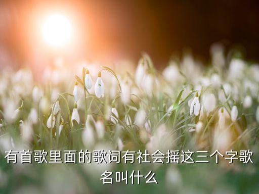 有首歌里面的歌词有社会摇这三个字歌名叫什么