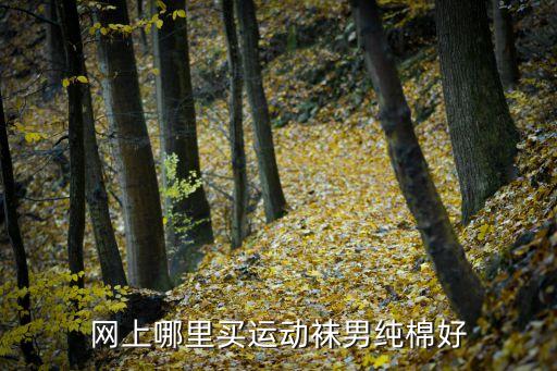 男孩怎么买舞蹈袜，我学舞蹈老师让买舞蹈袜我不知道哪有卖的谁能告诉我哪有卖的