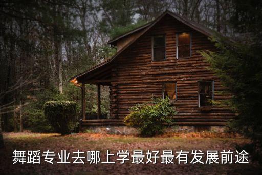 舞蹈专业去哪上学最好最有发展前途