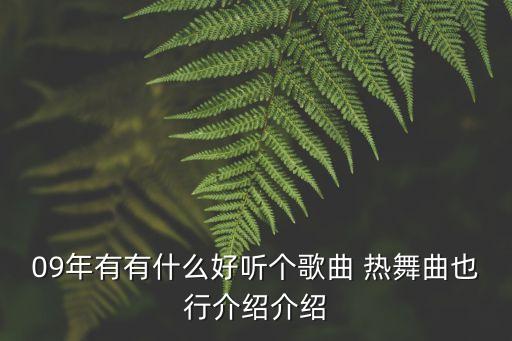 09年有有什么好听个歌曲 热舞曲也行介绍介绍