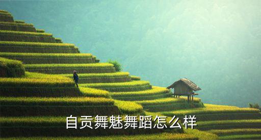 自贡舞魅舞蹈怎么样