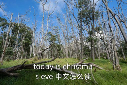 today is christmas eve 中文怎么读