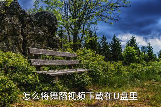 跳舞的小视频下载，怎么把舞蹈视频下载到u盘