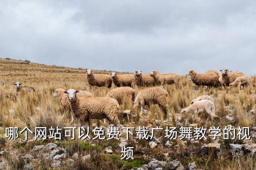 哪个网站可以免费下载广场舞教学的视频