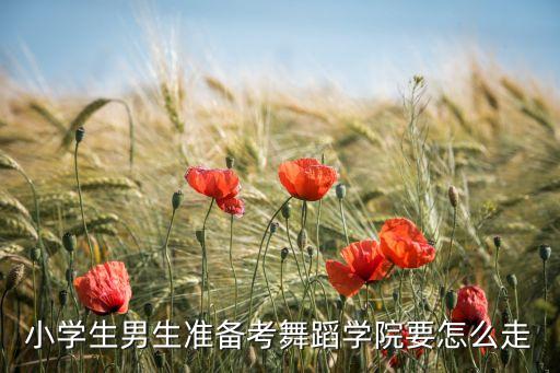 小孩子如何考舞蹈学院，如何报考北京舞蹈学院