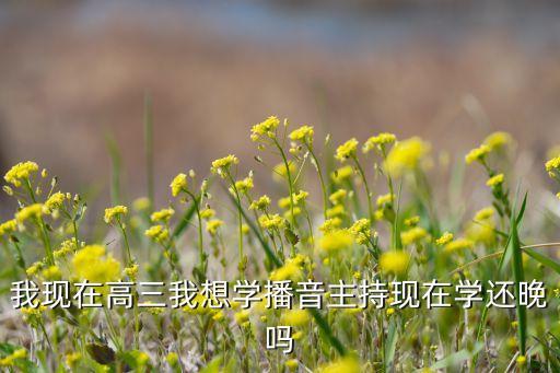 我现在高三我想学播音主持现在学还晚吗