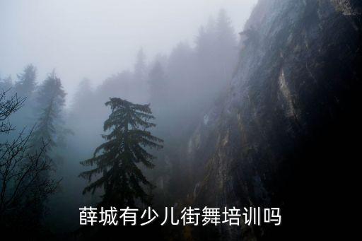 薛城有少儿街舞培训吗