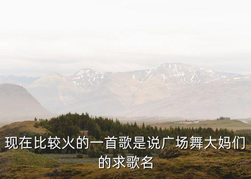 现在比较火的一首歌是说广场舞大妈们的求歌名