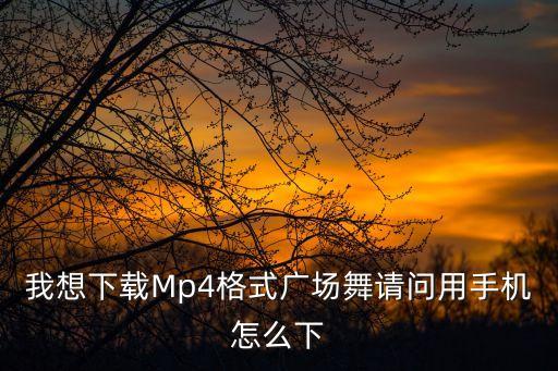 我想下载广场舞怎么下载，我想下载Mp4格式广场舞请问用手机怎么下