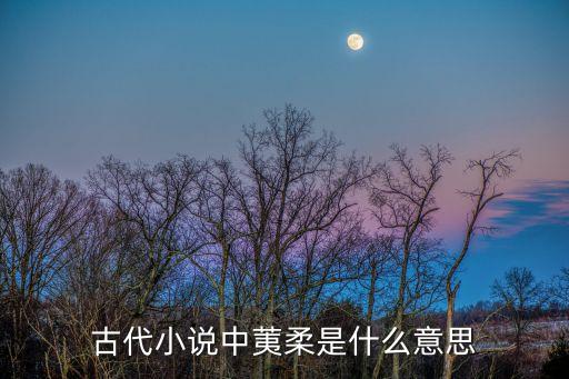 古代小说中荑柔是什么意思