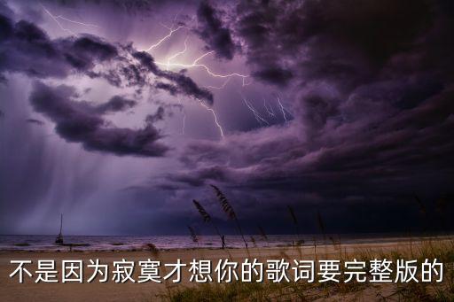 不是因为寂寞才想你的歌词要完整版的