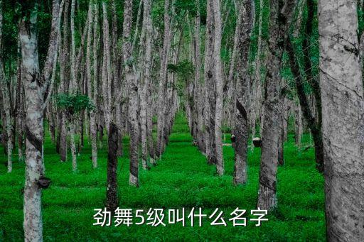 劲舞5级叫什么名字
