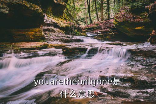 youaretheonlgone是什么意思