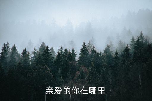 亲爱的你在哪里舞蝶广场舞下载，亲爱的你在哪里