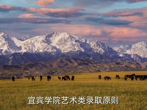 宜宾学院艺术类录取原则