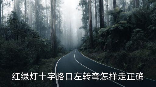 红绿灯十字路口左转弯怎样走正确
