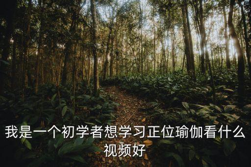 我是一个初学者想学习正位瑜伽看什么视频好