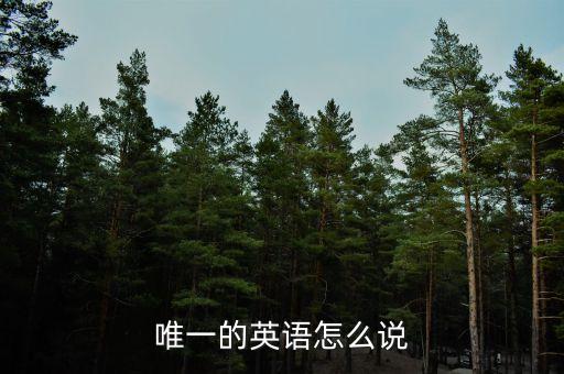 唯一的英语怎么说