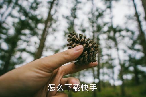 怎么下载快手
