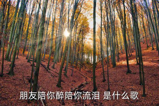 朋友陪你醉陪你流泪 是什么歌