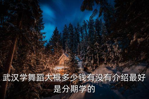 舞蹈寒假班一般多少钱，请问报跳舞方面的补习班学费是怎么算的啊
