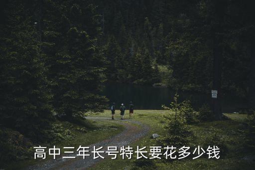 高中三年长号特长要花多少钱