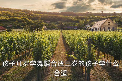 孩子几岁学舞蹈合适三岁的孩子学什么合适