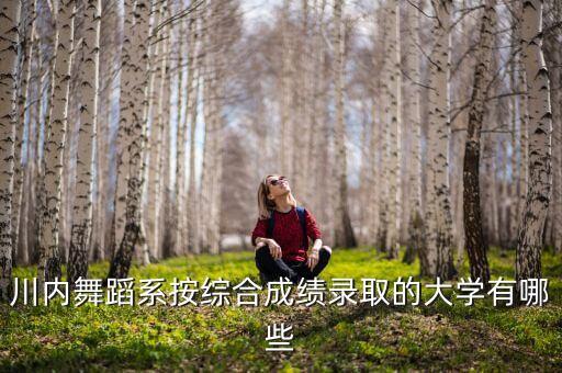 川内舞蹈系按综合成绩录取的大学有哪些