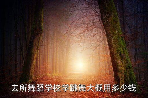 去所舞蹈学校学跳舞大概用多少钱