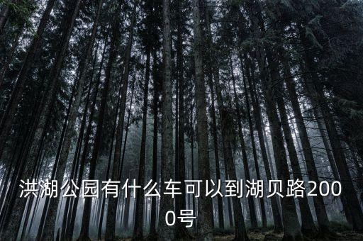 洪湖公园有什么车可以到湖贝路2000号