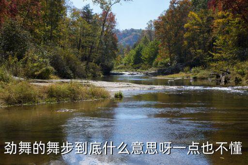 劲舞的舞步到底什么意思呀一点也不懂