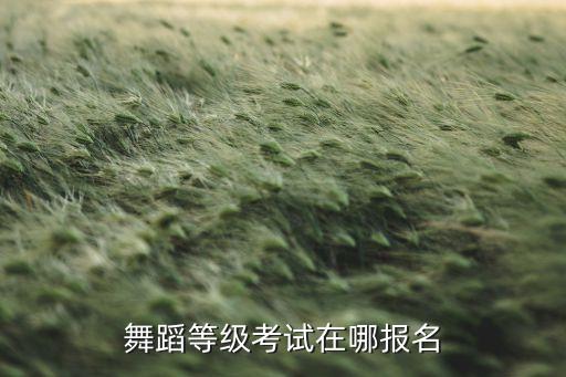 舞蹈等级考试在哪报名