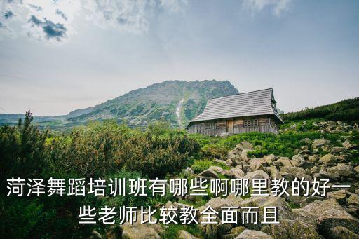 菏泽舞蹈培训班有哪些啊哪里教的好一些老师比较教全面而且