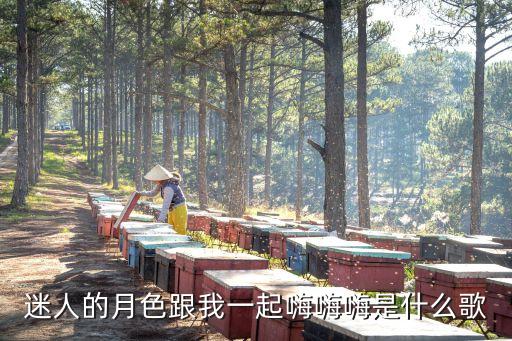 迷人的月色跟我一起嗨嗨嗨是什么歌
