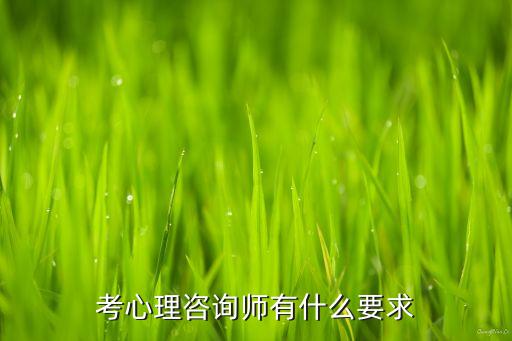 考心理咨询师有什么要求