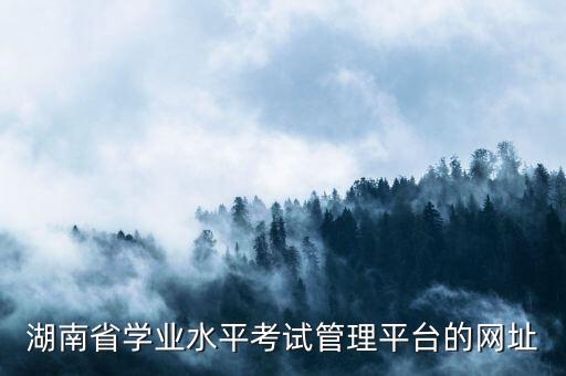 湖南省学业水平考试管理平台的网址