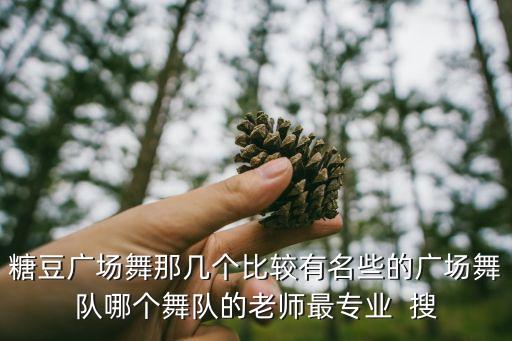 怎么评论糖豆广场，在北京去糖豆网买东西怎么样