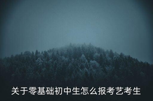 中考怎么参加艺考，中考孩子想参加美术特长生怎么报考