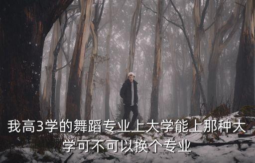 舞蹈可以考什么大学生，河北省的舞蹈艺考学生可以报考哪些大学