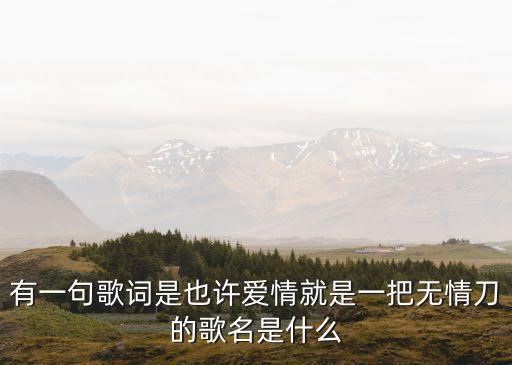 爱情是把无情锁是什么歌曲，有一句歌词是也许爱情就是一把无情刀的歌名是什么