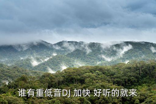 谁有重低音DJ 加快 好听的就来