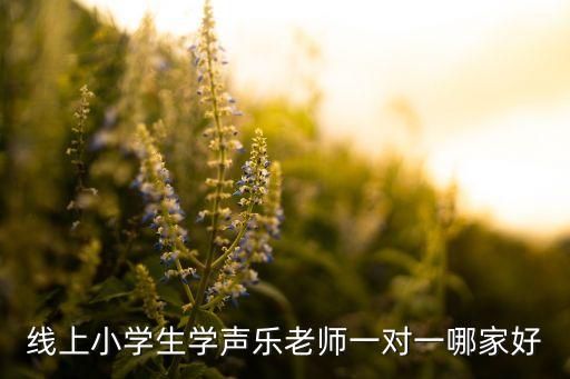 声乐线上教学哪家最好，有谁能推荐下在哪学唱歌比较好网络教学也可以