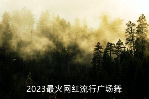 流行广场舞2023最火广场舞，2023年最火的广场舞有哪些
