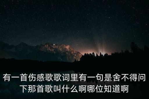 有一首伤感歌歌词里有一句是舍不得问下那首歌叫什么啊哪位知道啊
