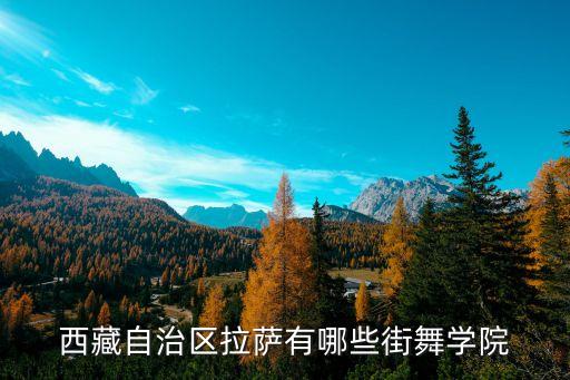 拉萨哪里去学舞蹈，拉萨哪里有汉族40多岁妇女们的舞蹈班吗