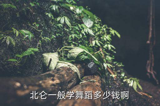 北仑一般学舞蹈多少钱啊