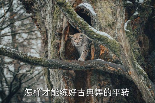 怎么样学好古典舞，怎样跳好古典舞