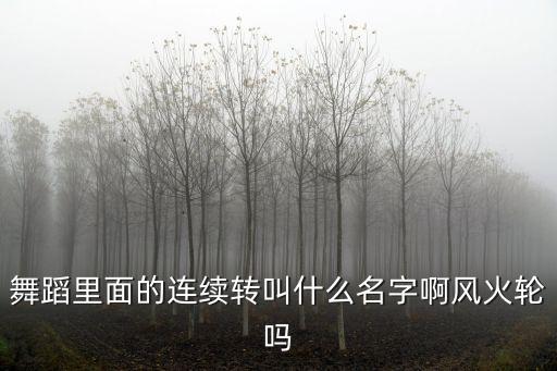 舞蹈里面的连续转叫什么名字啊风火轮吗